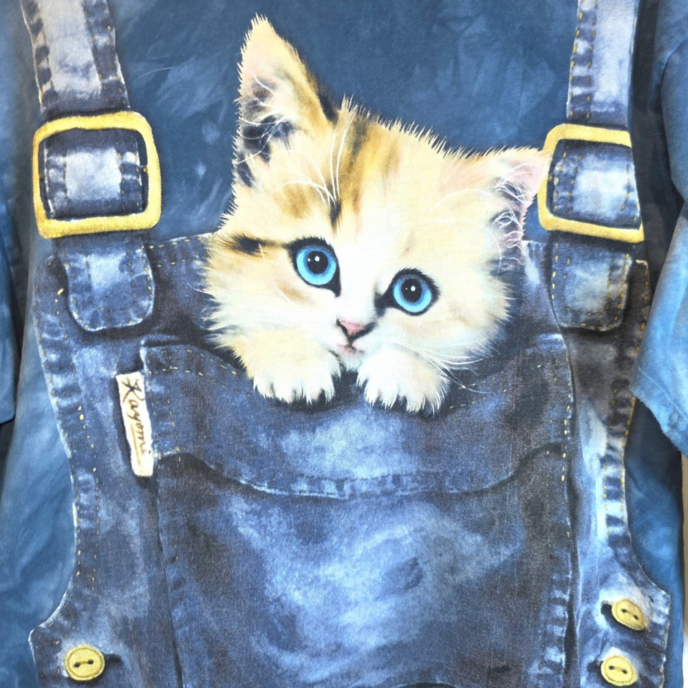 VTG Y2K The Mountain Long Sleeve Tee Shirt Cat Kitten Overalls Unisex Large Blue - Picture 4 of 10